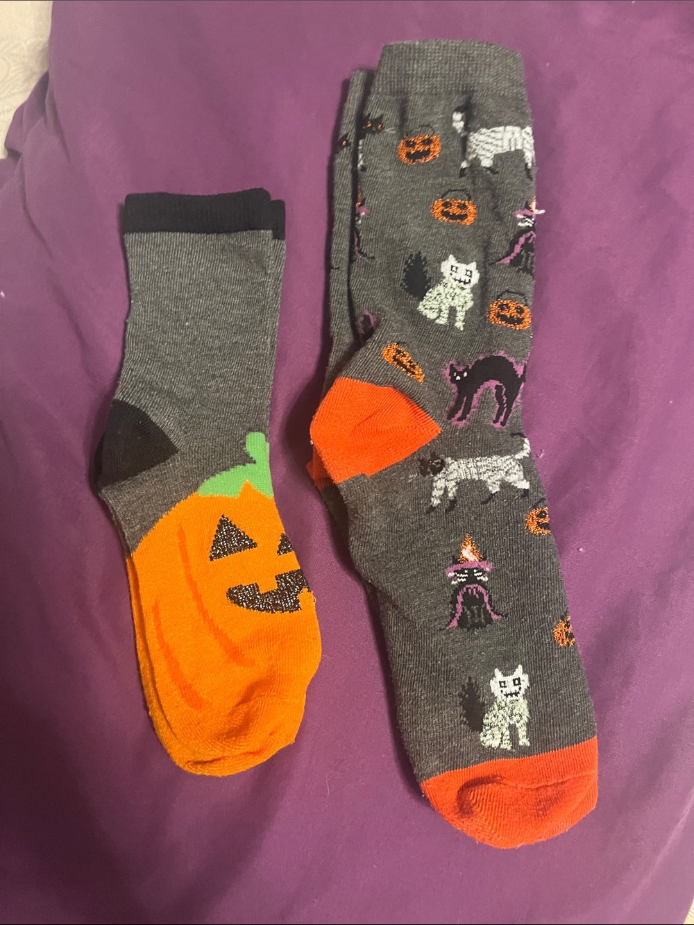 Halloween Pumpkin & Cat Crew Socks - Gray and Orange